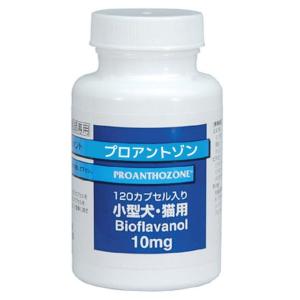 【あすつく】【プロアントゾン 10mg 120カプセル ×１個】（小型犬・猫用）【共立製薬】