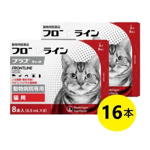 【あすつく】【２箱セット】【フロントラインプラス キャット ８本入×２箱】【使用期限：2027.01】 [ノミ駆除・寄生予防 / マダニ・ハジラミ駆除剤]