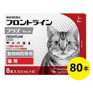 【１０箱セット】【フロントラインプラス キャット ８本入×１０箱】【使用期限：2028.09】 [ノミ駆除・寄生予防 / マダニ・ハジラミ駆除剤]