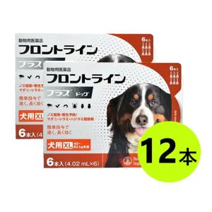 【２箱セット】【フロントラインプラス ドッグXL（40~60kg未満） ６本入×２箱】【動物用医薬品】 [ノミ・マダニ駆除薬](C)