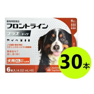 【５箱セット】【フロントラインプラス ドッグXL（40~60kg未満） ６本入×５箱】(フロントラインプラス犬用XL)【動物用医薬品】 [ノミ・マダニ駆除薬](発)