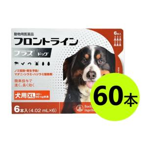 【１０箱セット】【フロントラインプラス ドッグXL（40~60kg未満） ６本入×１０箱】(フロントラインプラス犬用XL)【動物用医薬品】 [ノミ・マダニ駆除薬](発)