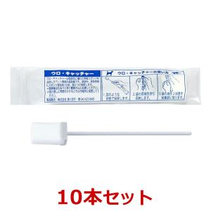 日本全薬 【あすつく】【要冷蔵：クール便】【アゾディル (90