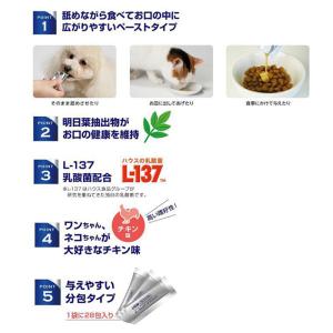 【36個セット】【PETKISS ベッツドクタ...の詳細画像2