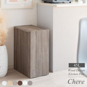 WESCO ペダルビン 123 13L ペダル式 ゴミ箱 ダストボックス スリム