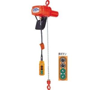 象印（ZOJIRUSHI） α型電気チェーンブロック 2速選択型 単相100V 定格