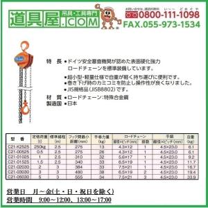 象印 C21小型軽量チェーンブロック 定格荷重...の詳細画像3