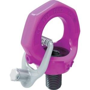 RUD　スターポイントインチサイズ　キー付き　1-1/8"-8UN