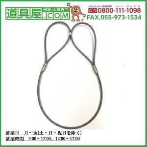 玉掛け　両端圧縮止めメッキワイヤー6×37G/O　径10mm　長さ5m　玉250mm｜dougu-ya