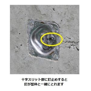 乾産業 イヌイ サッシアンカー+(プラス) バラの詳細画像1