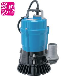 寺田ポンプ 水中ポンプ S-100　現状品 寺田ポンプ 特殊合成ゴム製 水中ポンプ S-500N 100V 500W 水中ポンプ