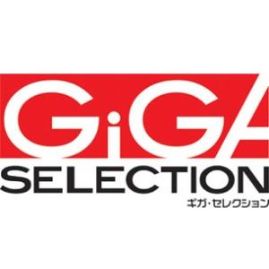 ギガ・セレクション オイルスキマ GSO-2FX4｜douguyasan