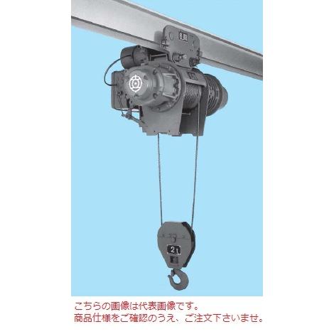 【直送品】 日立 普通形ホイスト Vシリーズ 0.5t/揚程 12m (1/2HM-T65) (電動...