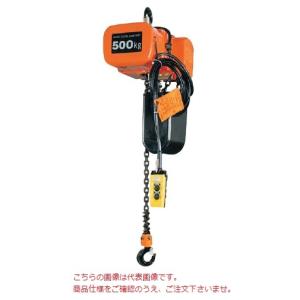 日立 50000-453 電動チェーンブロック 2SH 容量2.0t 揚程6m 2点