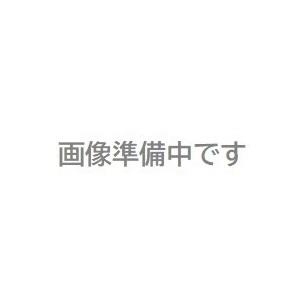 【直送品】 弘和 塗装ネット E-BL 3.6m×5.4m ブルー  【受注生産品】