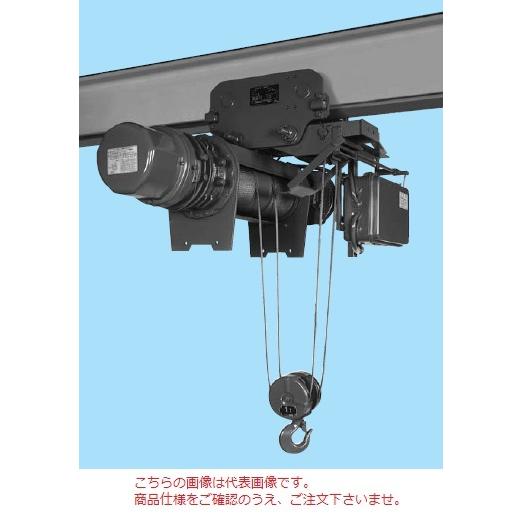 【ポイント10倍】【直送品】 日立 ローヘッド形ホイスト Vシリーズ 2t/揚程 12m (2HL-...