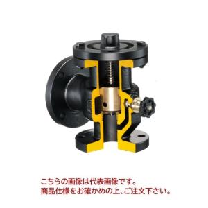 ポイント5倍】【直送品】 イシザキ スモレンスキ チャッキバルブ 鋳鉄 