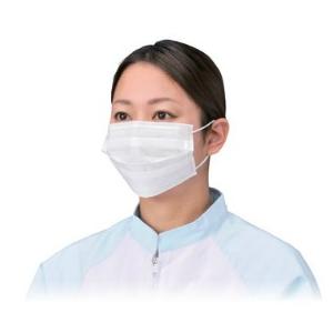 【ポイント5倍】【ケース販売】 エブノ エブケア 3PLY マスクスモール耳掛（サージカルタイプ） ...