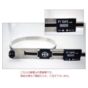 【ポイント5倍】【直送品】 ファーステック パイテープ DT3SS｜douguyasan