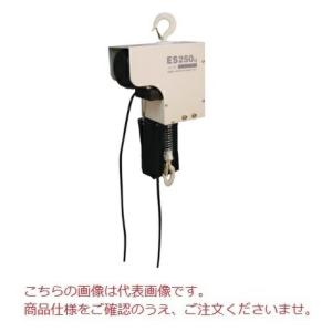 新品　【スリーエッチ】電気チェーンブロック ES250㎏×6m スリーエッチ 電気チェーンブロック ES250kg×6m 定格荷重250kg HHH