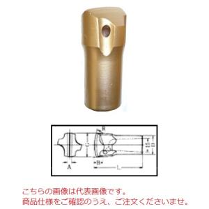 【ポイント5倍】【直送品】 平戸金属 テーパーカービット TC15-20 (15H 20mm)｜douguyasan