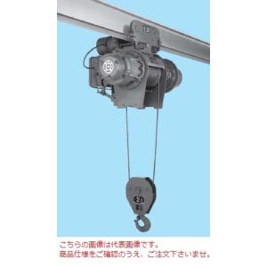 直送品】 日立 普通形ホイスト Vシリーズ 2.8t/揚程 6m (2.8M-T65