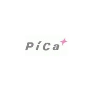 【ポイント5倍】【直送品】 PiCa (ピカ) 枝打ちはしご用中間はしご SWE-E2 《SWE-302用オプション》 【大型】