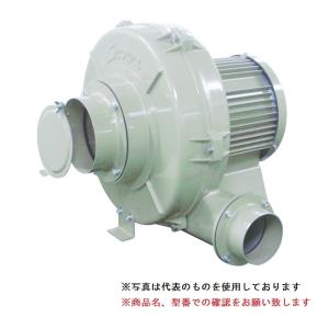 ポイント5倍】【直送品】 SDG (昭和電機) 電動送風機 汎用シリーズ(SF