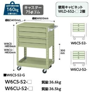 【ポイント5倍】【直送品】 山金工業 スペシャルワゴン W6CS-S2-G 【大型】