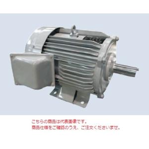 日立 日立産機 三相モーター TFOA-LKK-4P-11kW 200V ザ 日立 日立産機 三相モーター TFOA-LKK-4P-11kW 200V ザ