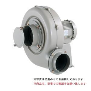 ポイント10倍】【直送品】 SDG (昭和電機) 電動送風機 コンパクト