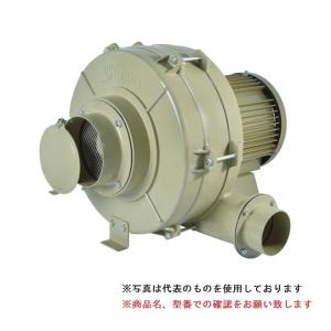 ポイント5倍】【直送品】 SDG (昭和電機) 電動送風機 汎用シリーズ(SF
