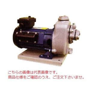 直送品】 寺田ポンプ 水中ポンプ (新素材製/ステンレス製) PXA-400
