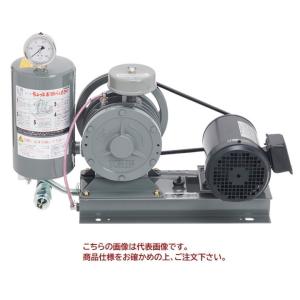 東浜 ロータリーブロアー FD-250s 単相100V300Wモーター付き (吐出量 