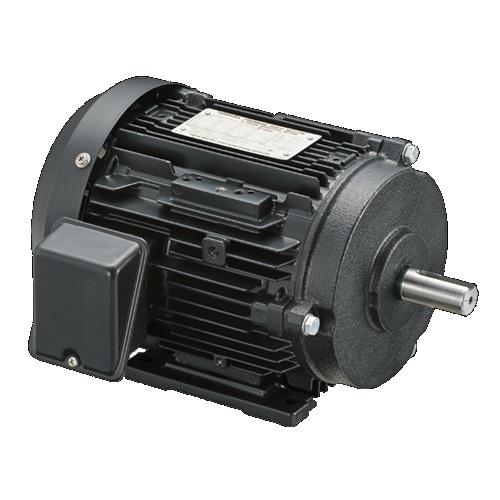 東芝 （TOSHIBA） プレミアムゴールドモートル IKH3 FBKA21E 4P 0.75KW ...