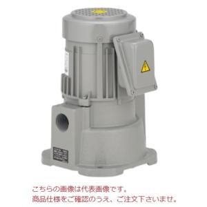 テラル ラインポンプ LP型用 メカニカルシール EA560-25-T-P 部品 循環