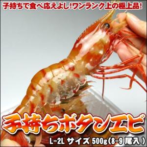 ぼたんえび 子持 ボタンエビ 刺身 500g 送料無料 沖縄は送料別途加算 ひな祭り 新生活 ホワイトデー｜dousan