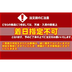 富良野メロン 優品以上 ふらのメロン 超特大2...の詳細画像2
