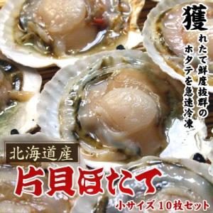 ホタテといえば北海道 片貝ホタテ 小サイズ 10枚セット送料無料沖縄は送料別途加算 ひな祭り 新生活 ホワイトデー｜dousan