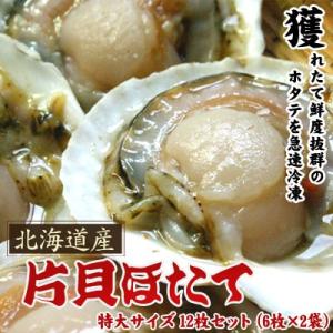 ホタテといえば北海道 片貝ホタテ 特大サイズ 12枚セット送料無料沖縄は送料別途加算 歳暮 クリスマ...