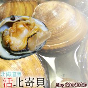 ほっき貝 活 送料無料 2kg 約6-10個 北海道産 ホッキ貝...