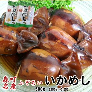 ふぞろいいかめし 500g（250g×2袋）たっぷり ポスト投函