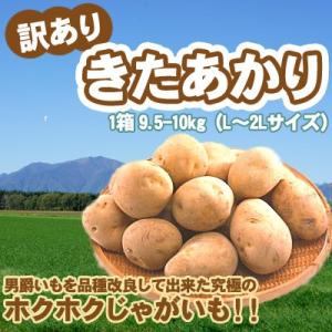 きたあかり 訳あり 北海道 じゃがいも L-2Lサイズ9.5-10kg前後 送料無料 沖縄は送料別途加算 キタアカリ ひな祭り 新生活 ホワイトデー