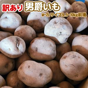 じゃがいも 訳あり北海道 じゃがいも 男爵いも M-2Lサイズ 9.5-10kg前後 送料無料 ※沖縄は送料別途加算 花見 GW 新生活