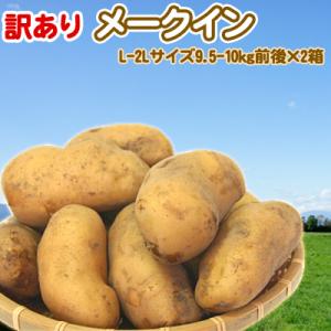 メークイン 訳あり 北海道 じゃがいも L-2Lサイズ9.5-10kg前後×2箱 送料無料 ※沖縄は送料別途加算 メークイン ひな祭り 新生活 ホワイトデー｜dousan