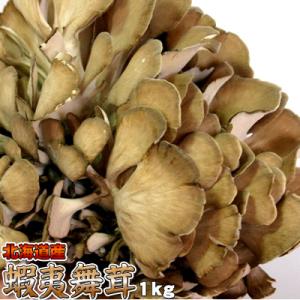 まいたけ マイタケ 蝦夷舞茸 1kg前後 北海道  沖縄は送料別途加算