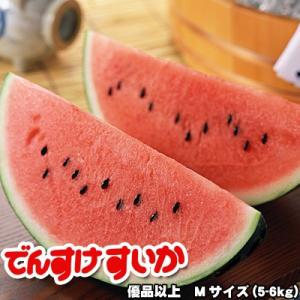でんすけすいか 秀品 送料無料 Mサイズ 沖縄別途送料加算