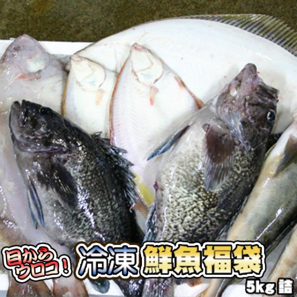 鮮魚を急速冷凍北海道お魚福袋5kg送料無料 歳暮 クリスマス 正月