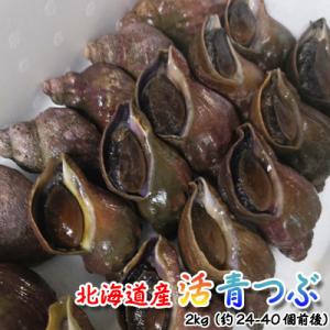 活つぶ 青つぶ 2kg（約24-40個前後） つぶ貝 北海道産 