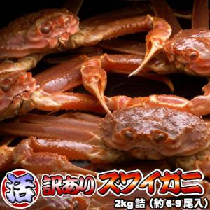 活ズワイガニ 訳あり 2kg詰 身入り7割前後 送料無料 ※...